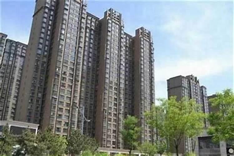 77年属蛇在2025年的全年运势如何
