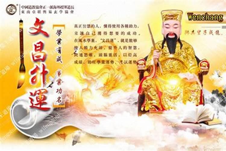 梦到大乌龟 梦到大乌龟什么预兆