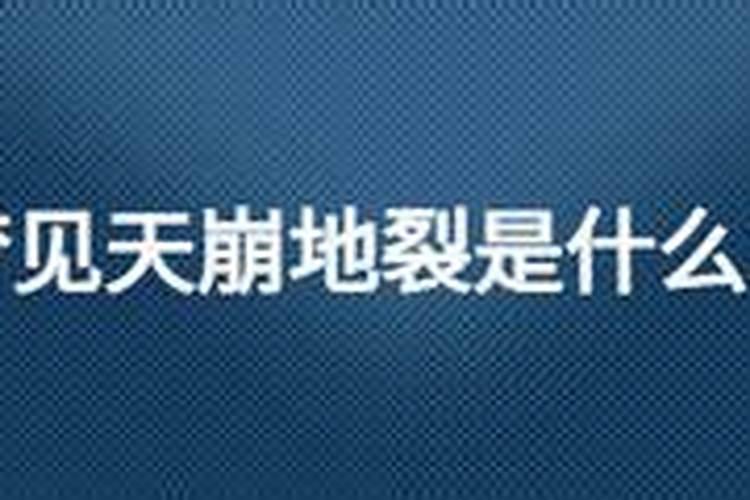 生肖猪1995年2025年运势如何 生肖猪1995年2025年全年运势