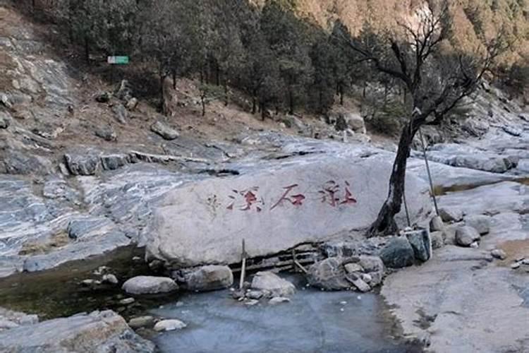 泰山童子命是什么意思