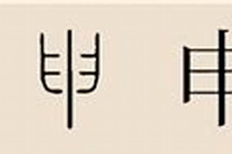 属龙的这辈子命运怎么样
