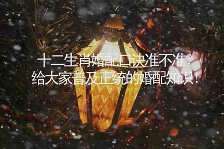 1977年农历11月12阳历是几号