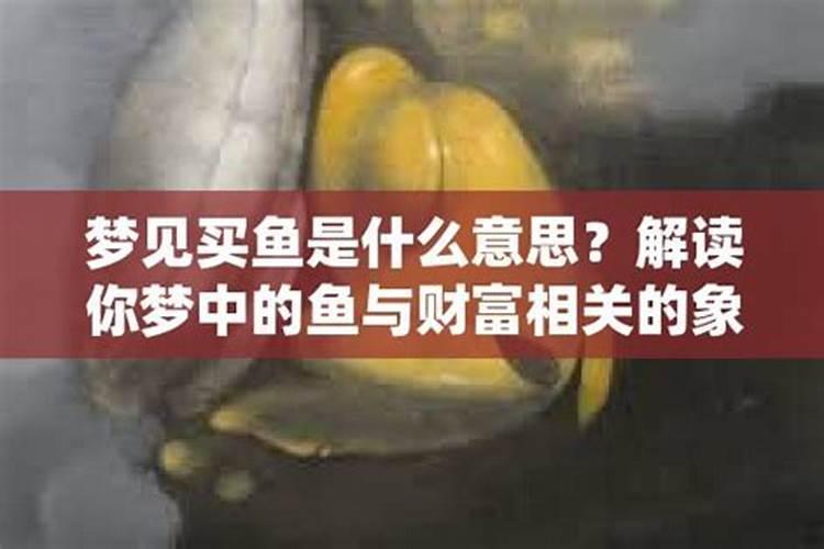 梦见买鲤鱼的预兆