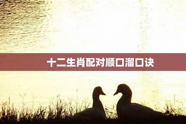 12生肖配对姻缘口诀,婚姻配对属相表口诀