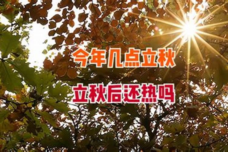 1979年属羊2025年运势完整版