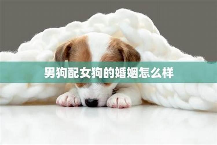 孕妇梦见一条清澈见底的大河是什么寓意  百度宝宝知道
