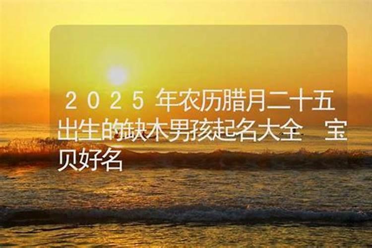 兔宝宝运势查询 2023年农历十二月出生的水兔宝宝？
