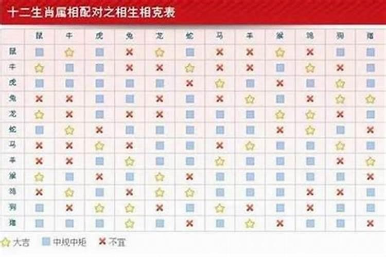 1987年女兔2025年运势及运程