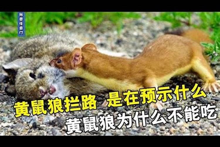 四款简单又漂亮的清明节手抄报模板,含内容文字,可收藏备用