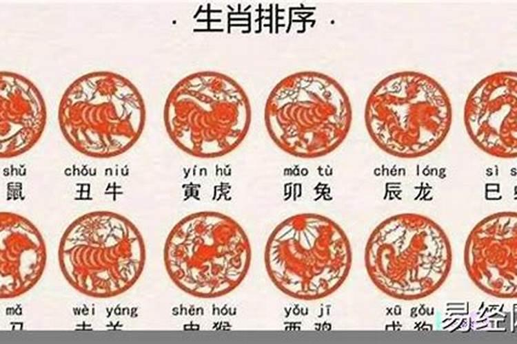 1990年出生的是什么命