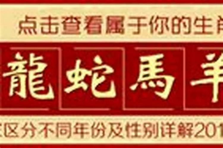 2025年出生的蛇在属相里究竟是金蛇还是银蛇