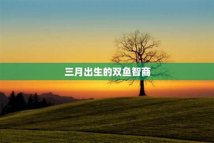 男属马和女属龙能幸福一辈子？
