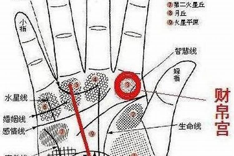 2025属鸡上坟最佳时间