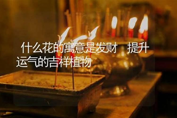 梦见老人很凶的预兆