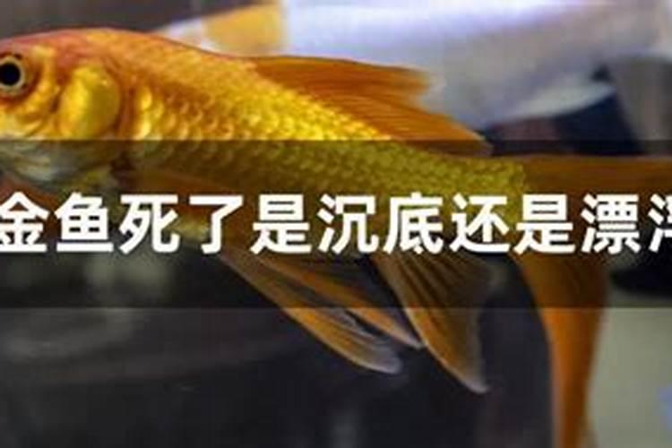 我男朋友他妈妈找人算命说我们八字不合相冲不准他和我在一起了,可是...