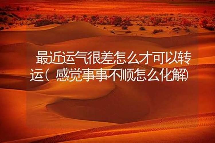 属马人2025年全年运势运程
