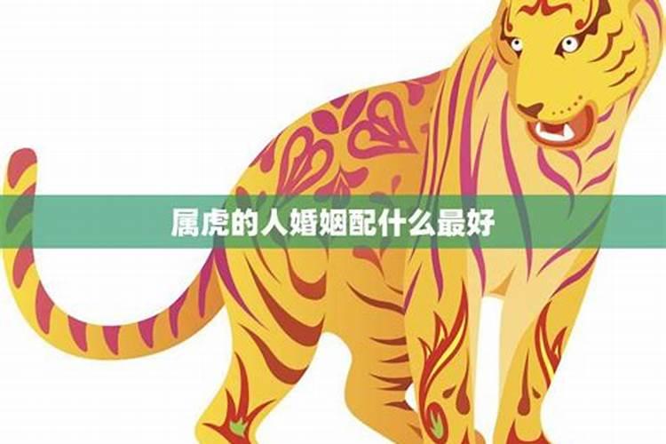 男属虎的和什么属相最配