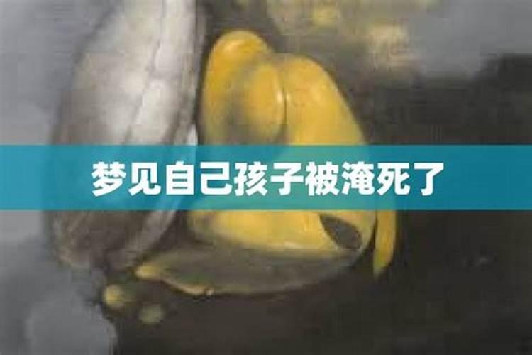 梦见被三只乌龟咬住不放的预兆