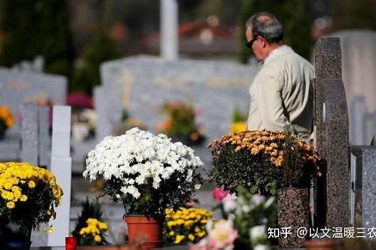 67年属羊人2025年全年运势详解
