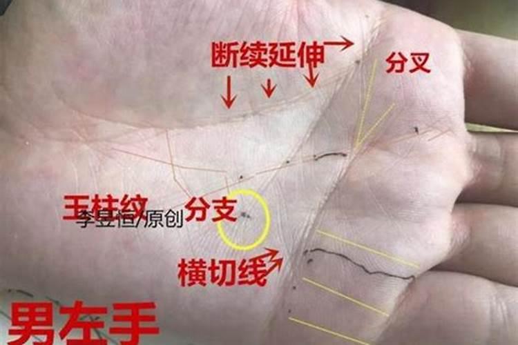 元宝纹40岁后运上加运