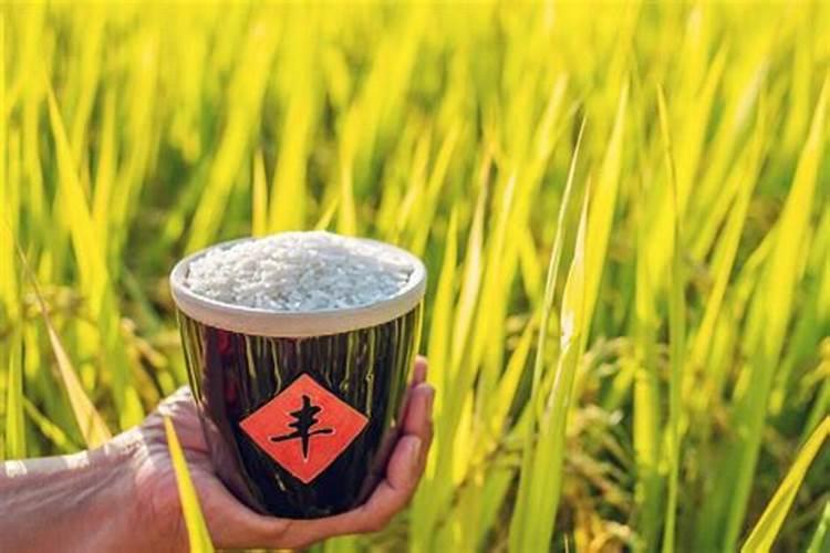 老话“早立秋凉悠悠,晚立秋热死牛”:今年啥时候立秋？早还是晚