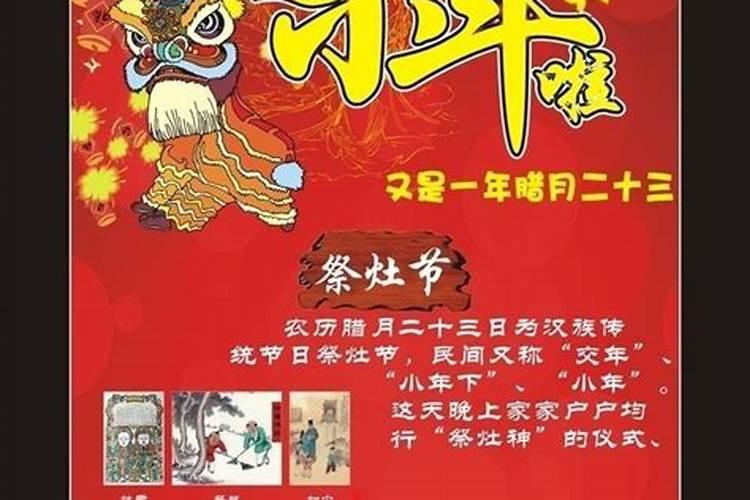 2025年1月1日生的宝宝属什么