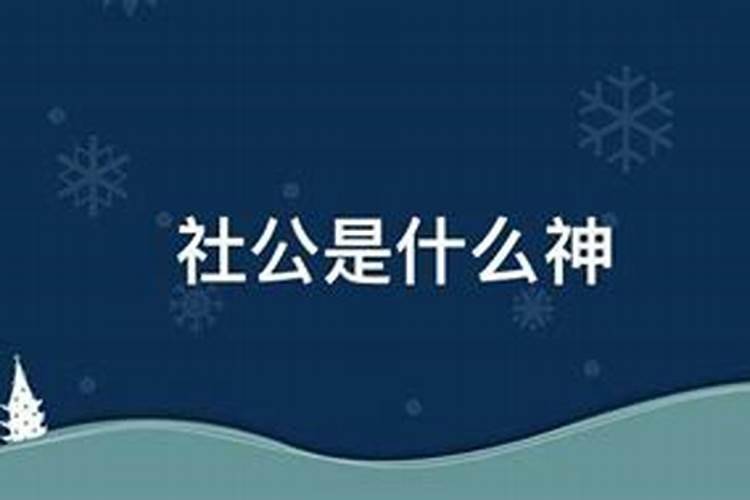 万州值得去的地方重庆市万州区什么地方最好玩