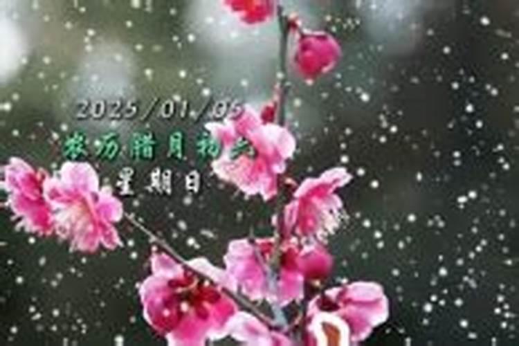 家里人回来狗狗叫是为什么