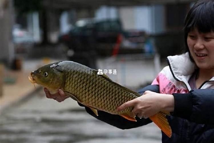 梦见买鱼是什么意思周公解梦