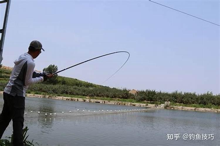 八字吉神凶煞概说文库,神巴巴八字排盘免费算命