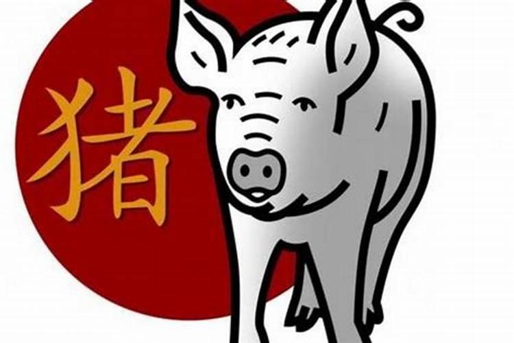 属猪人出生月运势怎么样属猪的几月出生最好命