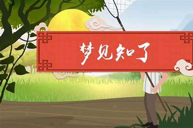 属蛇人流年运势运程