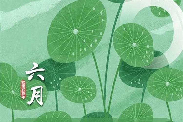 1951年属兔人2024年运势及运程详解