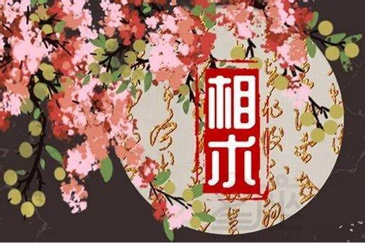 属兔人出生月命运