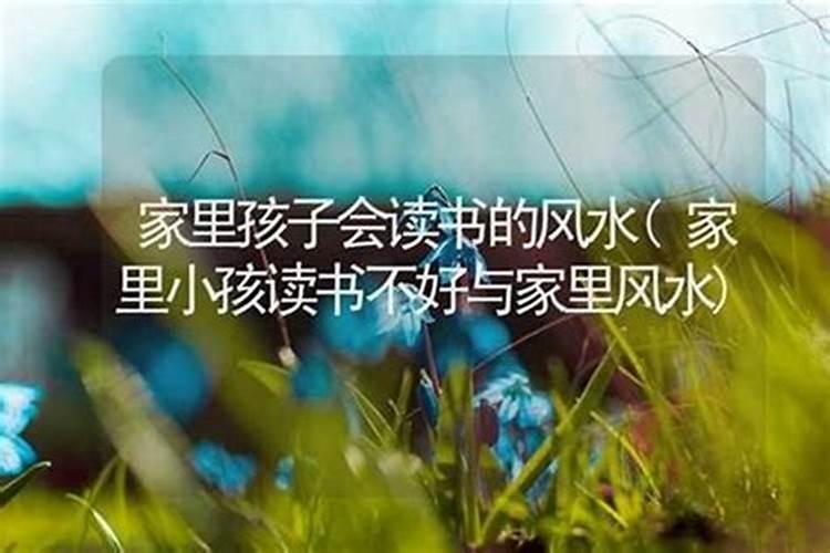 2025年犯太岁的生肖猪怎么化解 2025年犯太岁的生肖猪怎么躲星