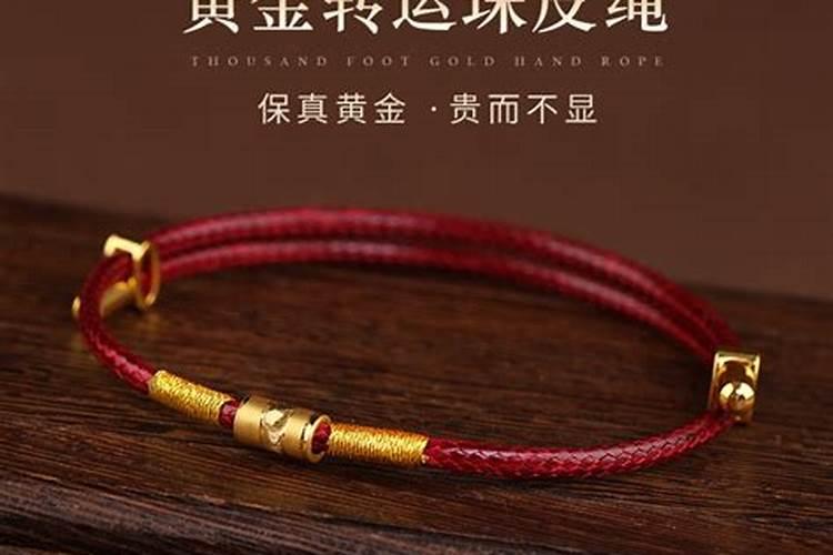 梦见两只乌龟跟着我的预兆
