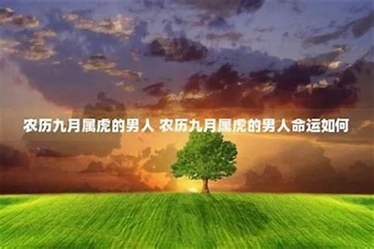 2009年阴历九月初九二十点二十分出生的男孩,五行是怎样的