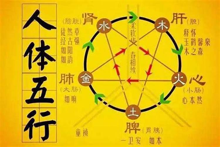 关于人体气运