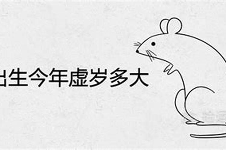 1972年的鼠在2025年4月23日的运势