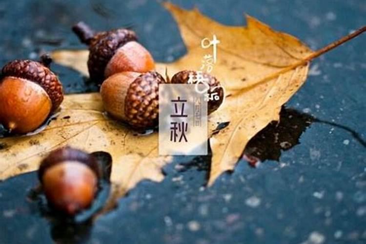立秋后三天交运算当天吗？