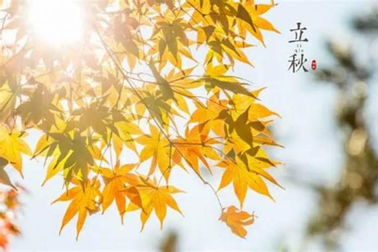 2022年属猴的交运时间表,2022年属猴的运势