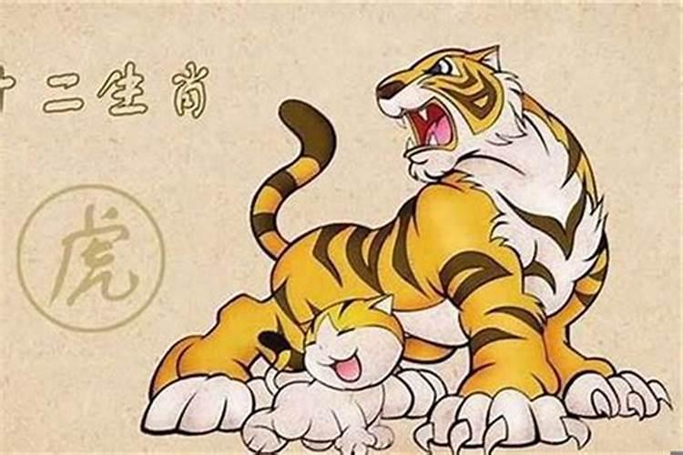 74年农历11月18日女虎的命运