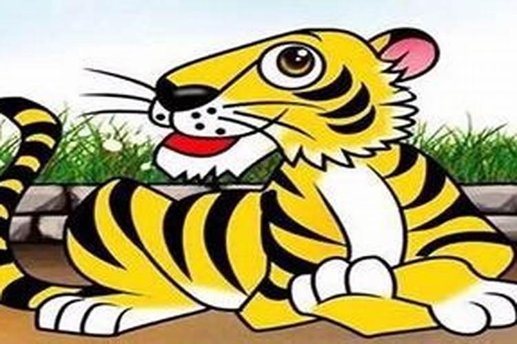 属虎人2025全年运势详解 属虎人2025年每月运势
