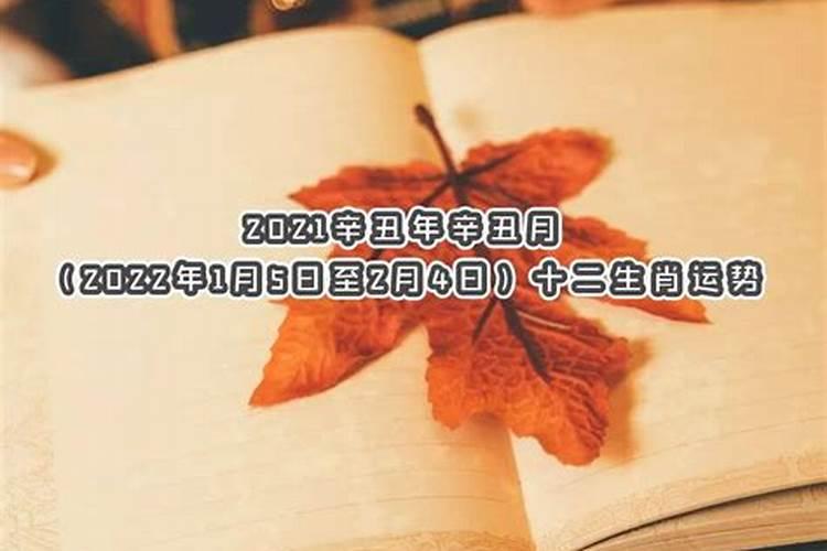 辛金命2022年运势,辛金命的最好出路
