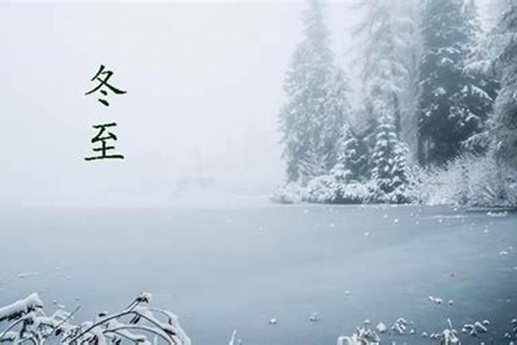 梦见许多许多的老鼠有什么预兆
