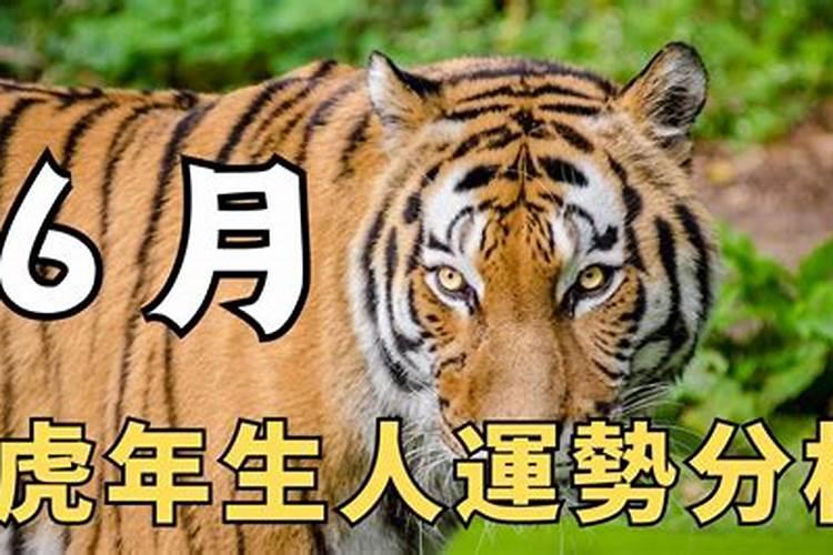 虎年生人2025年运势及运程