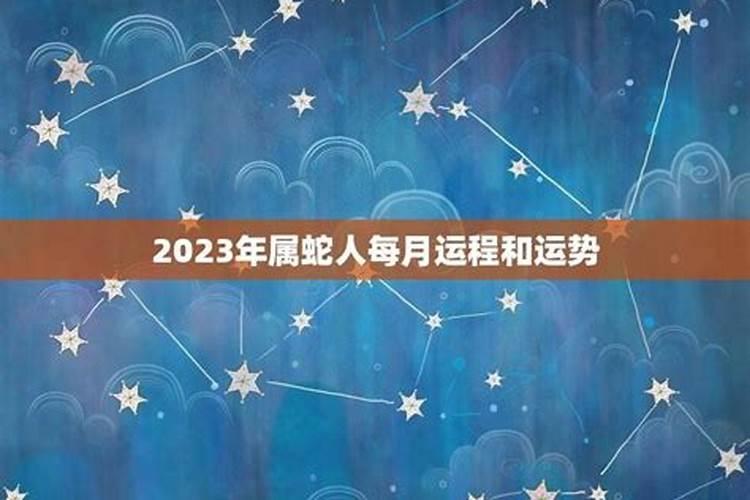 2025属蛇的全年运势运程 属蛇人2025年每月运势