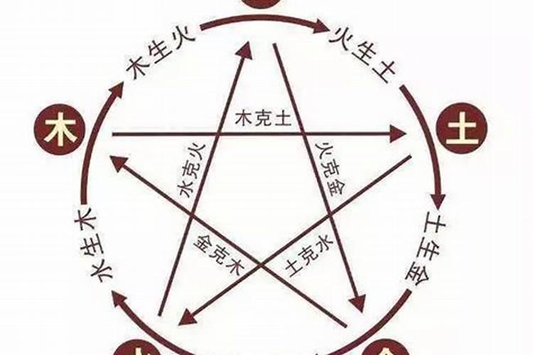 2025年苏民峰12生肖运程
