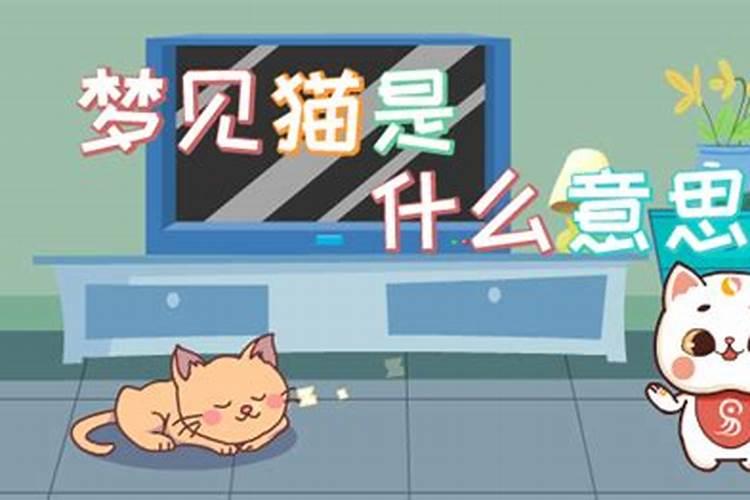 农历一九八五年9月13我出生的运程