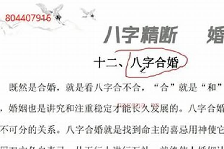 梦见塔吊倒塌是什么意思